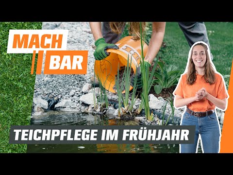 Pond care in spring | OBI