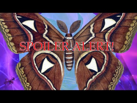 P12S Phase 2 transition JP Hudless