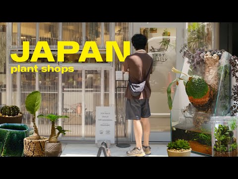 Plant Shop Tour JAPAN | unique houseplants and ceramics