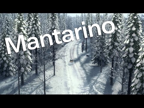 DiRT Rally - Career Mode (again) #2 : Mantarino