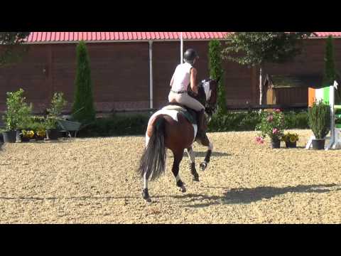 Duo Penotti - 2008 mare