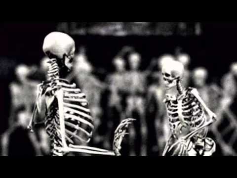 ANALOG DEVICES G-303 OUTLANDER  2016   FREAKS