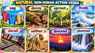 Action Verbs for Things That Happen Naturally | Visual English Vocabulary