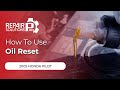 How To Use Oil Reset Function On SDS 2005 Honda Pilot