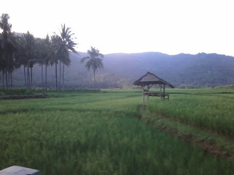 Lestari alamku - gombloh