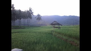 Download lagu Lestari alamku - gombloh mp3