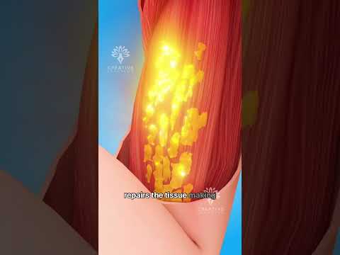 Muscle Tear and  Normal Hypertrophy Explained #short #viralvideo - Creativelearning3d