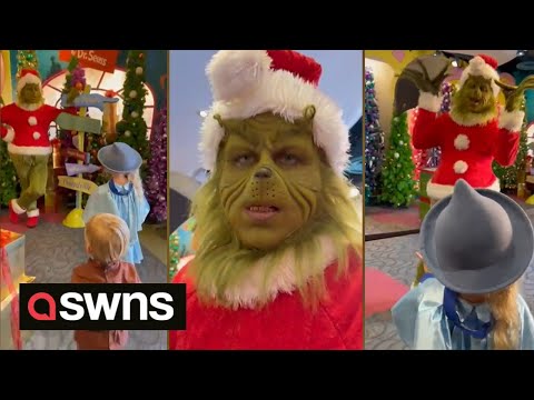 Grinch impersonator has hilarious interaction with two young children | SWNS