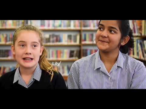 What Makes the Holt Special