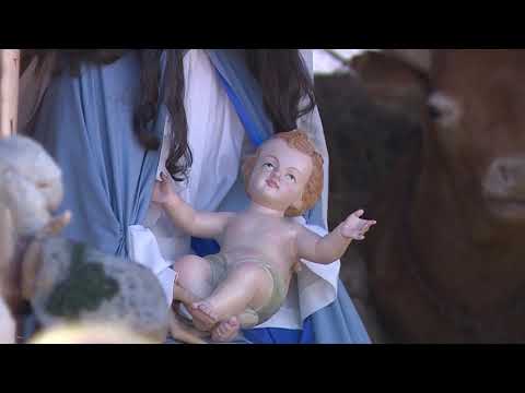 Izdvojeno 1.1.2020 - Svetkovina Marije Bogorodice