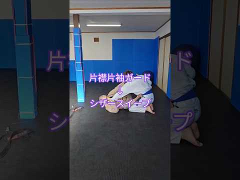 #片襟片袖ガード #シザースイープ #ブラジリアン柔術 #bjj #jiujitsu #格闘技 #北海道 #オホーツク #北見市