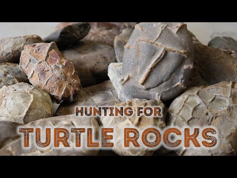 Rockhounding along the Vermillion River - the Hunt for Turtle Rocks