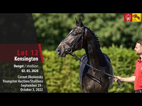 Cornet Obolensky Youngster Auction Lot 12 Kensington Hengst v. Kannan - Clinton