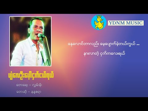 ပျံလေဦးပေါ့ငှက်ငယ်ရယ် - နန္ဒဧရာ | Pyan Lay Ohn Pot Ngat Ngel Yal Nanda AyeYar(Official Lyric Video)
