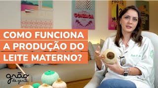 COMO PRODUZIR MAIS LEITE MATERNO? | ENTENDA COMO FUNCIONA A ESTRUTURA DA MAMA