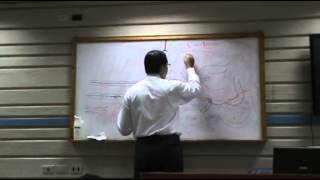 ENT - Dr.Neseem Tal'at - Ear - Facial Nerve