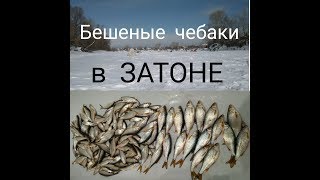 Рыбалка в новосибирске затон о рыбалке