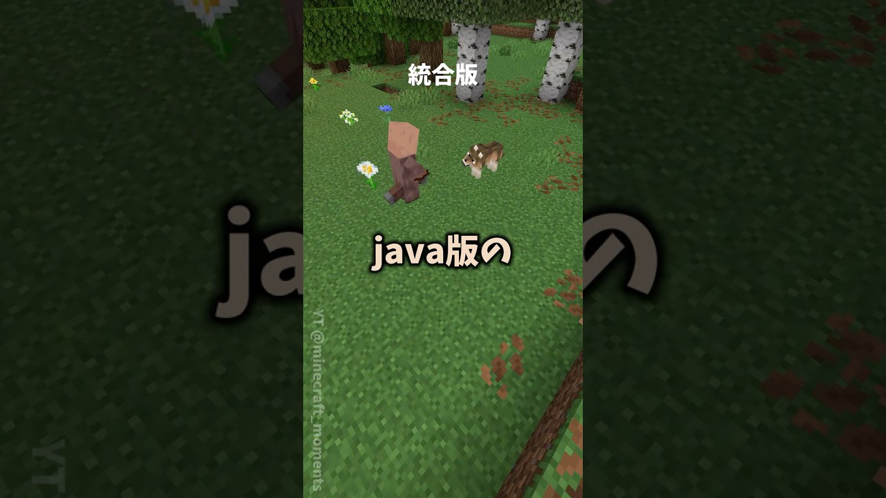 Java版と統合版の違いの裏技 #まいくら #マイクラ #マインクラフト #minecraft