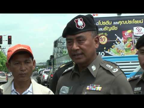 เพิ่มสมาชิกในเซนต์ปีเตอร์เบิร์ก ทิงเจอร์แรงลูกจันทน์เทศ