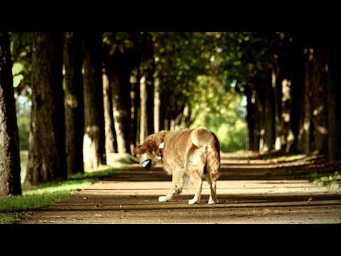 Favori - Sihirli Bir Dokunuş 1'24"