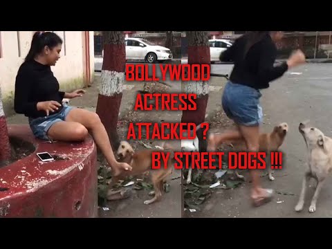 Bollywood Actress Attacked ? By Street dogs !!!