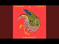 Rohrdommel (Monkey Safari Remix)