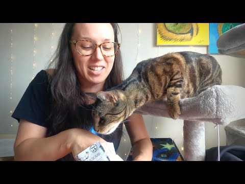 Jess and Jericho test 5 healthy cat treats