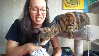 Jess and Jericho test 5 healthy cat treats