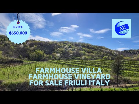 🍷 Vineyard & Farmhouse for Sale in Friuli, Italy | Price Drop €650,000