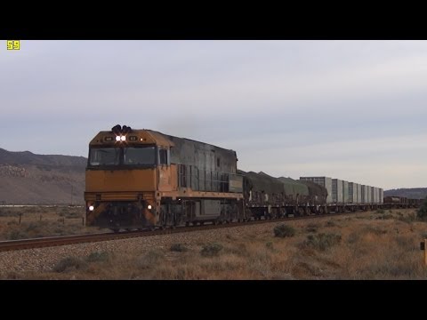 Pacific National 5NY3 near Nectar Brook