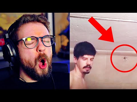 Never Tell Me the Odds #2