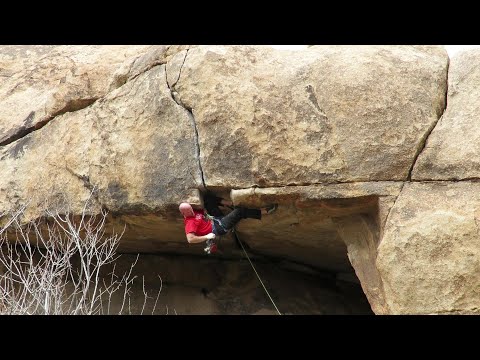 Joshua Tree - More Monkey Than Funky