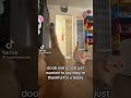 Doobert And Scoobert Kittten Catshorts Kitten Kitte Catmeme Cute Catphoto Catlover