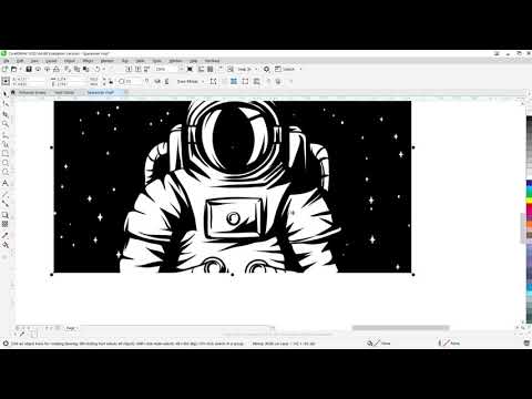 Vinyl Vector