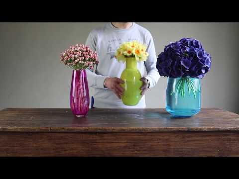 A Colour Popping Trio of Flowers With Amara Vases