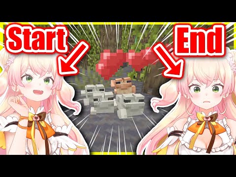holoyume - VTuber ENG Subs ホロ夢 - Nene's KEEN EXCITEMENT turned into HUGE DISAPPOINTMENT breeding frogs - Minecraft 【ENG Sub Hololive】
