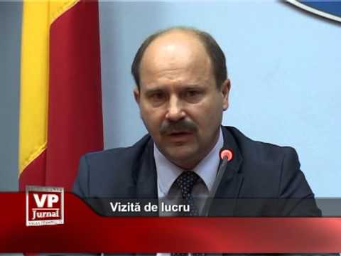 Vizită de lucru