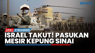 Zionis Ketakutan! Pasukan Mesir Kepung Perbatasan Israel hingga Jet Tempur IDF Jatuh di Lebanon