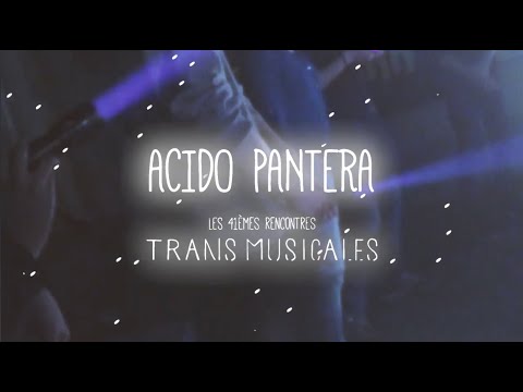 Ácido Pantera - Amornamá (Live Session @ Trans Musicales de Rennes 2019)