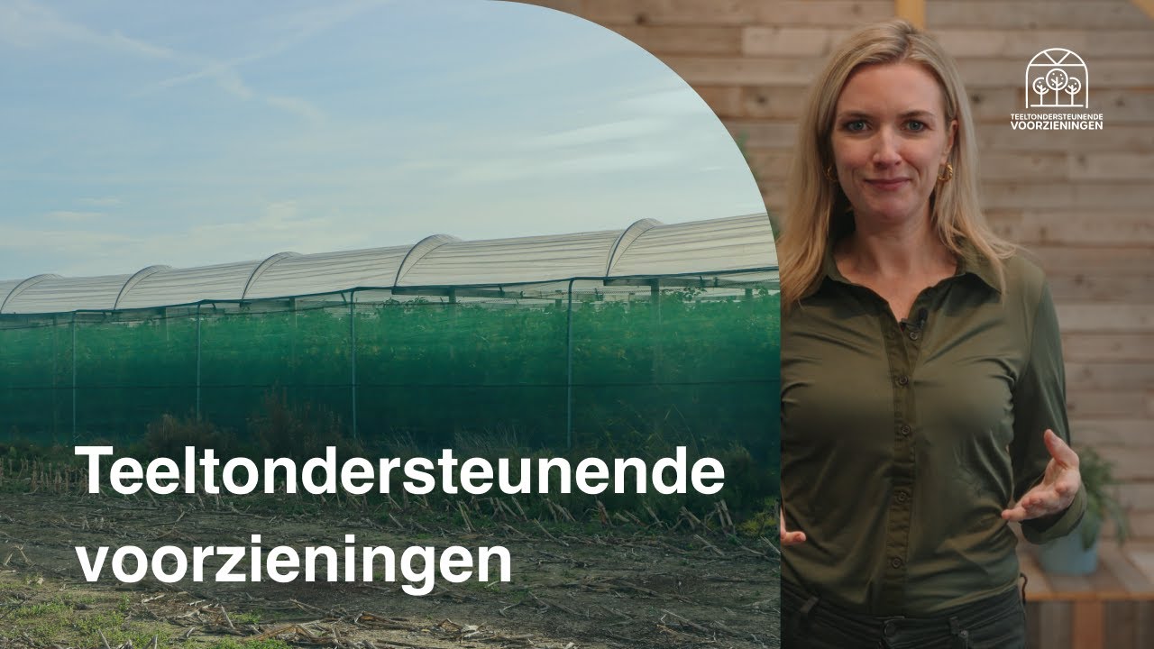 Videostill: presentatrice legt uit waarom er teeltondersteunende voorzieningen in het landschap staan