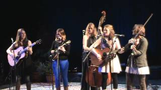 Della Mae, "Turtle Dove"