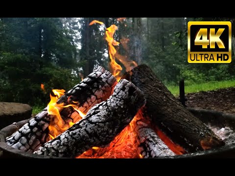 🔥Cozy Fireplace 4K. Fireplace Ambience with Crackling Fire Sounds. Fireplace Burning 4K