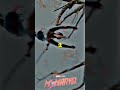 Ms Marvel Kamala Khan ️first Appearance In Comics Super Task