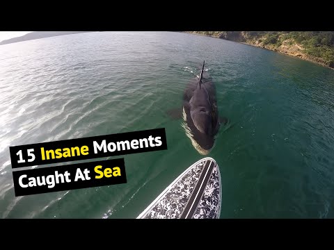 Top 15 Insane Moments Caught On Camera | Unbelieve Moments At Sea