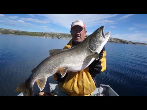 Aylmer Lake Lodge, Northwest Territories Lake Trout