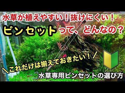 水草を植えるヒント 2022