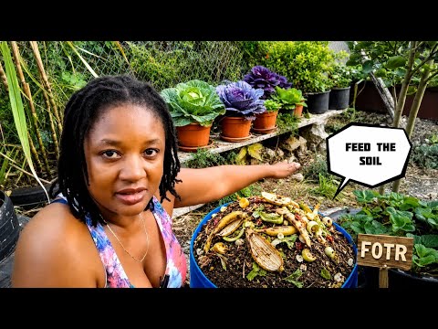Feed the SOIL! Not The PLANTS! Your Vegetables Will EXPLODE WITH GROWTH And Fruits