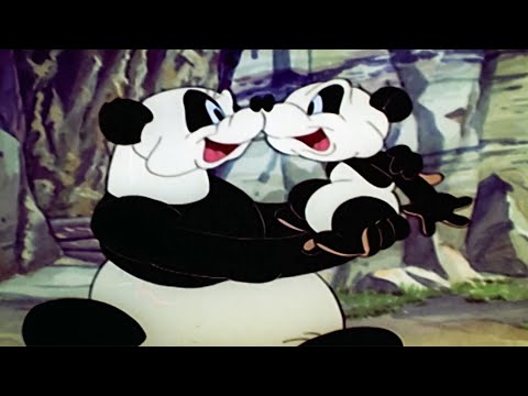 A Baby Panda Is Born! | 2.5 Hours of Classic Episodes of Woody Woodpecker