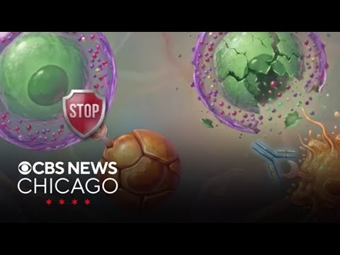 Northwestern Medicine trialing new antibody therapy in fight ...