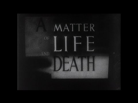 ROYAL COMMAND FILM PERFORMANCE